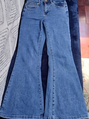 Western Blue Flare Jeans